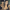 friends cover art, censored into a colour mosaic