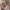 transparent cover art, censored into a colour mosaic