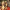 yeh cover art, censored into a colour mosaic